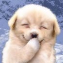 당구클럽 이미지