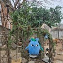 CU 종로대신점 | 안국역 맛집 카페 도토리가든 두바이 쫀득쿠키 요거트볼 마들렌 포장 후기