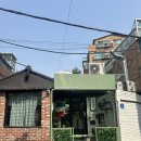 혜화 | [내돈내산 맛집] 노말키친 혜화 후기🍝