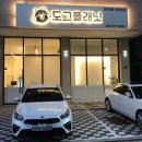 도그플래닛 이미지