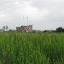 문산체육공원 이미지