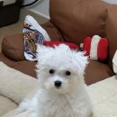 아이템데이 | 특별한 나만의 아이템, 데이타임 아크릴키링 아크릴제작 후기!