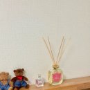 산타마리아 노벨라 디퓨저 로사 노벨라 2개월 사용 후기 / 디퓨저 추천 / 집들이 선물 / 인테리어 소품...