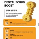 우리덴탈 | 강아지덴탈껌 잇츄, 노견도 맛있게 먹은 덴탈껌 후기