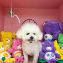 주식회사 하트세이버 이미지