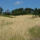 감산리 사무소 이미지