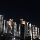 도솔광장 잔디광장 이미지