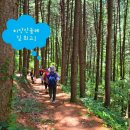 치악산둘레길 8코스 거북바우길 | [ 치악산둘레길 ] 원주 구학산 거북바우를 만나는 길 ! &#39;치악산둘레길 8코스 거북바우길&#39; 걷기