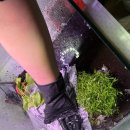 물속풍경수족관 이미지