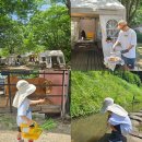 한터농원영농조합 이미지