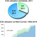 인공수정방법 중 정자직접주입술(ICSI)로 태어난 자녀의 건강에 대해 알아보는 글 이미지