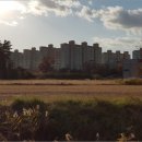 당진시 송악읍 신복운로 이미지