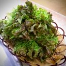 청마루기사식당 이미지