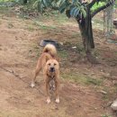 솔치농장 이미지