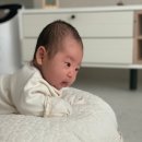 육아일기 D+95: 신생아 귀교정 한 달 후기 (아직 진행 중)