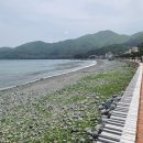바다풍차