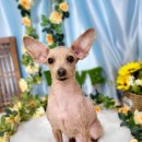 도꾸살롱 이미지