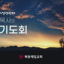 정해만