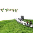 도훈목장 이미지