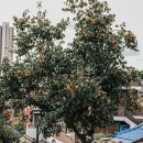 중앙로67번길 이미지