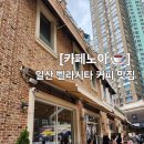 시타위커피 | [일산 카페] 벨라시타 카페 카페노이 백석 카공가능한 커피 맛집 추천 카페☕️