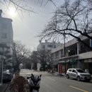 주정차39 | 고품일단 부산 서구 프리미엄 도시락｜동대신동 부모님 점심으로 만족도 최고였던 포장 후기