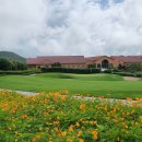 엑스골프 이미지