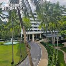 푸른숲리조트 | 태국 푸켓 리조트 추천 풀만 카론비치 리조트 솔직후기