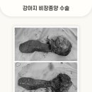 용인죽전 24시 스카이동물메디컬센터 이미지