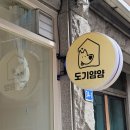 도기얌얌 이미지