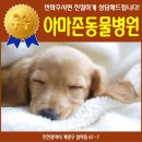 계양동물병원 이미지
