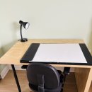 Downtown Toronto condo room 이미지