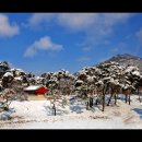 공주-10 이미지