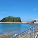 보동이네 이미지