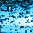 하얀피부 이미지