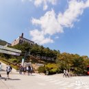 대진대학교