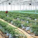 유인농장 이미지