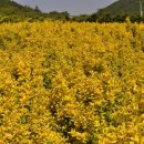 사철농장 이미지