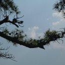 조각구름 이미지