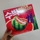 대박마트 | 수박 초코파이 후기 대박 마트 편의점 신상 과자 파는 곳