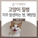 24시연동물의료센터 이미지