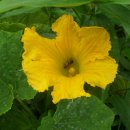 파동공원 이미지