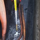 와이디에스 이미지