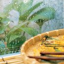 사랑은 비를 타고 이미지