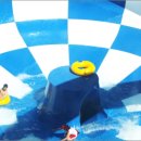 비고리조트 19 티스토리