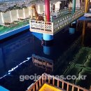 유일실내낚시터 이미지