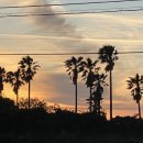 카페언니 이미지