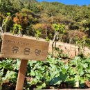 화순케어랜드요양병원 이미지