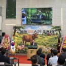 대전충남양돈농협 포크빌축산물공판장 | 2026 충남 한우 돼지 고급육 경진대회 성과와 축산업 경쟁력 강화의 의미