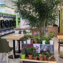 제천빨래방 이미지